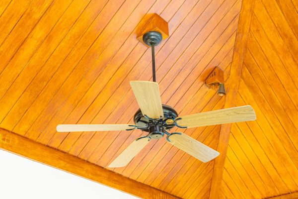 Ceiling fan decoration interior of room